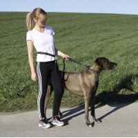 Tekaški povodec za psa s pasom RUNNING ACTIVE