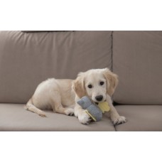 Igračka za pasje mladičke  - Puppy toy